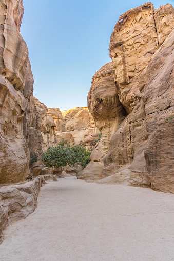 The Siq, the narrow slot-canyon that serves as the entrance passage to the hidden city of Petra, Jordan