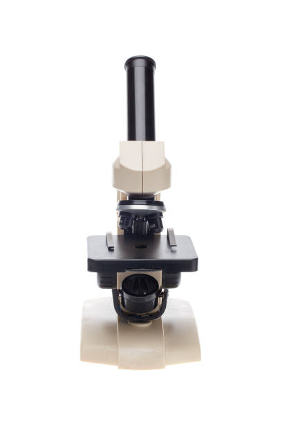 microscope - 16330 imagens e fotografias de stock