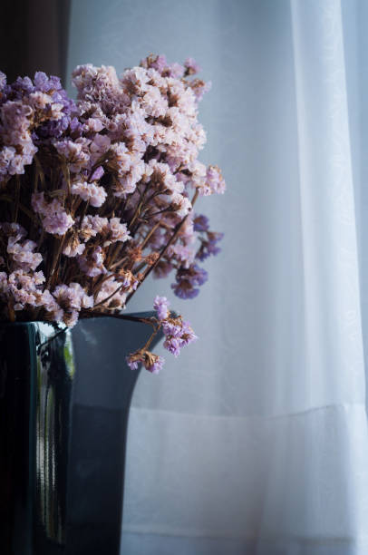 istock Dry purple flowers 1153044064