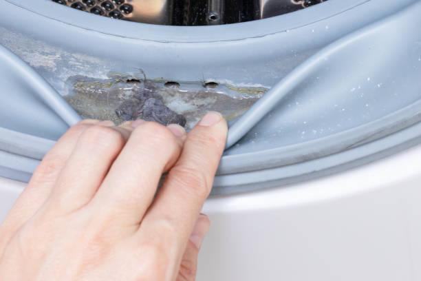 dirty moldy washing machine sealing rubber and drum close up. mold, dirt and limescale in washing machine. home appliances periodic maintenance - water pipe rusty dirty equipment imagens e fotografias de stock