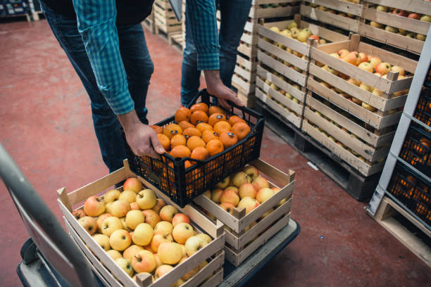 Fresh fruits and vegetables in warehouse