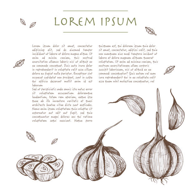 istock Food background with garlic vegetable Hand drawn white social media template 1153048791