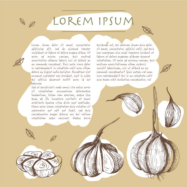 istock Food background with garlic vegetable Hand drawn white social media template with text 1153049451