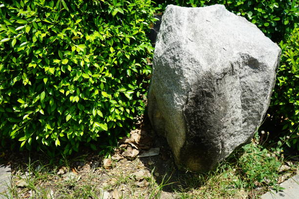 Asia, Japan,thailand, Rock Garden, park