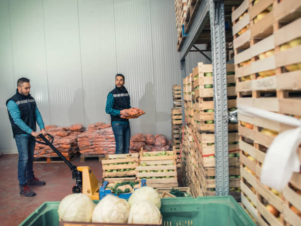 istock Fresh fruits and vegetables in warehouse 1153058893