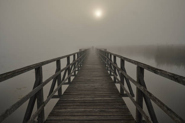 istock Federseesteg at sunrise in Bad Buchau, Germany 1153061052