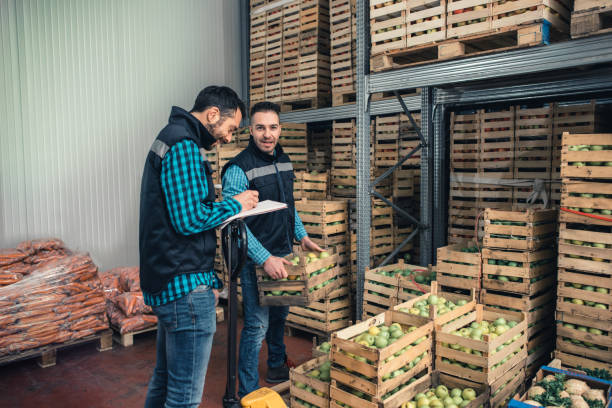 istock Fresh fruits and vegetables in warehouse 1153061295