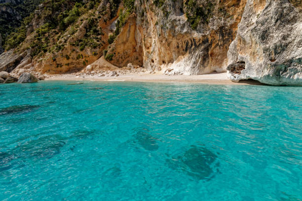 istock Cala dei Gabbiani beach - Sardinia - Italy 1153061439