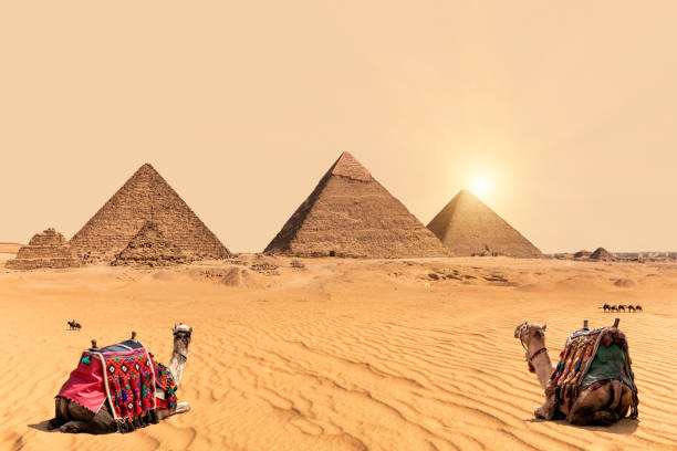 istock The Pyramids and camels in Giza desert, Egypt 1153066027
