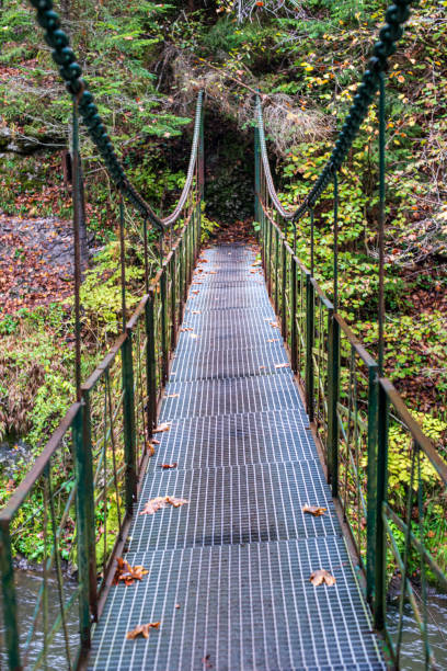 istock old metal bridge over river in autumn forest 1153068128