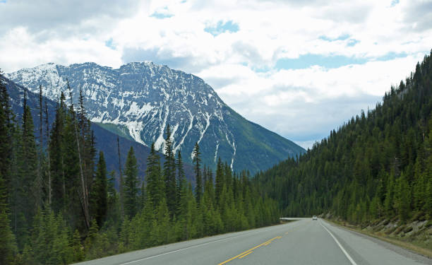 istock The road in Kootenay NP 1153073301