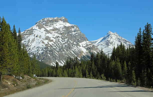 istock The curve of Icefield Parkway 1153073423