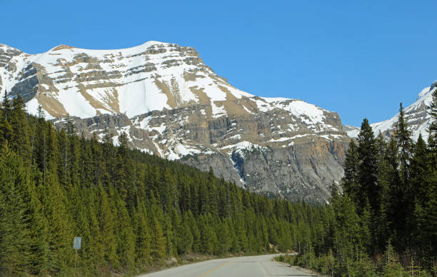 istock The mountains on Icefield parkway 1153073425