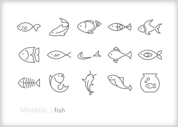 魚 イラスト素材 肉 野菜 熱帯魚 Istock 魚 イラスト素材 肉 野菜 熱帯魚 Istock