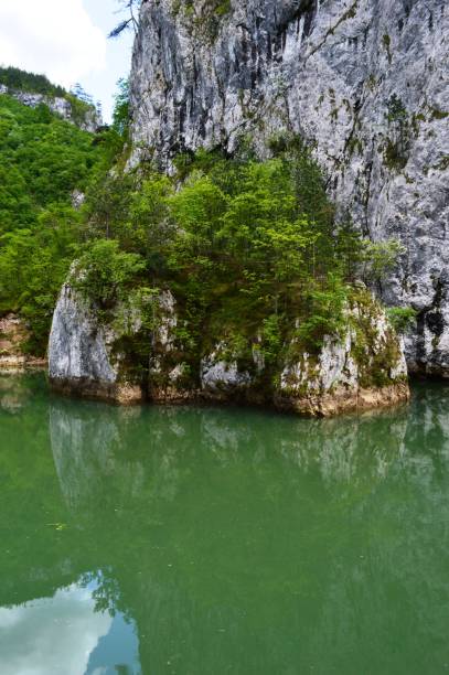 istock reflection of coastline in the lake 1153075083