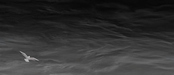 istock Stormy sea with a lone seagull 1153077141