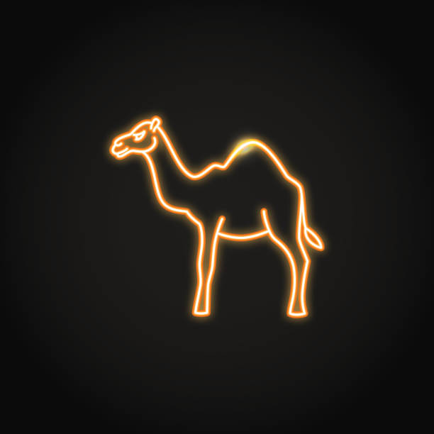 kameltier ikone im leuchtenden neonstil - camel animal dromedary camel desert stock-grafiken, -clipart, -cartoons und -symbole