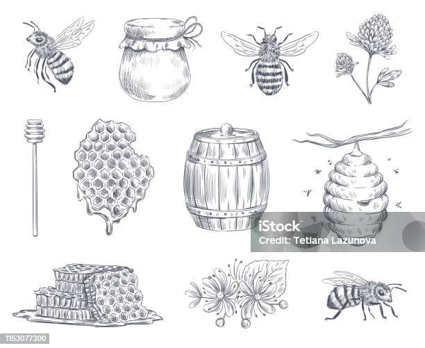Bee Engraving Honey Bees Beekeeping Farm And Honeyed Honeycomb Vintage Hand Drawn Vector Illustration Set - Arte vetorial de stock e mais imagens de Mel