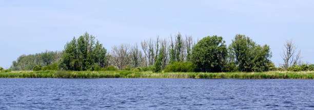istock Nature reserve The Oostvaardersplassen 1153077305