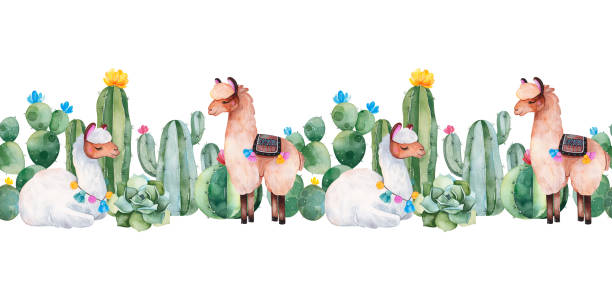 ilustraciones, imágenes clip art, dibujos animados e iconos de stock de hermosa frontera de repetición con verde acuarela cactus, suculentas, flores y llamas lindas - cactus spine