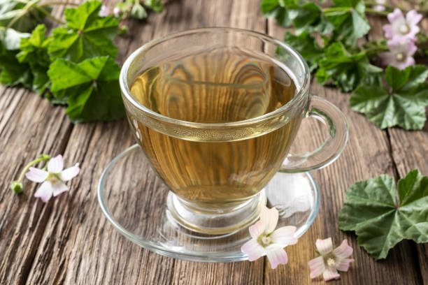istock A cup of herbal tea with fresh blooming dwarf mallow 1153081420