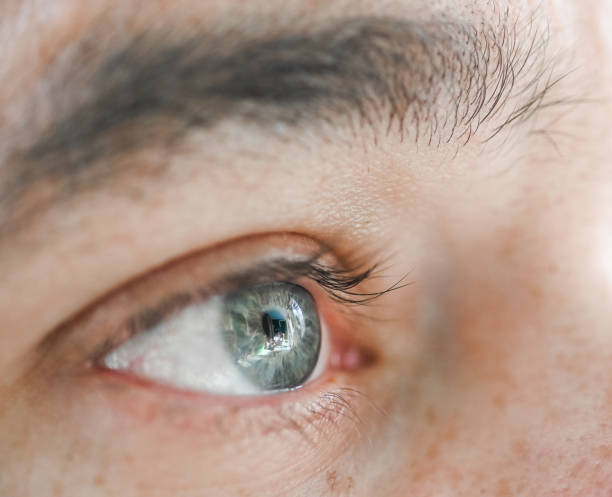 istock Extreme close up of a human eye 1153082756