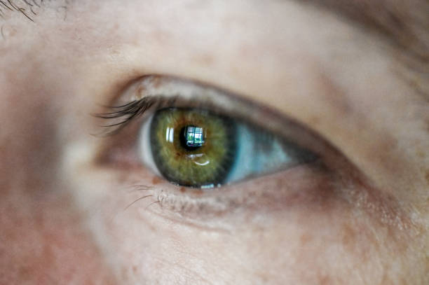 istock Extreme close up of a human eye 1153083459