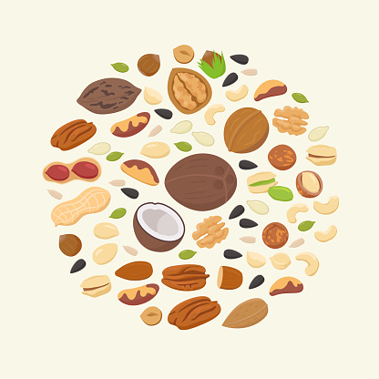 Big collection of nuts and seeds in circle form. Various nuts isolated on white, pecan, macadamia, brazil nut, walnut, almonds, hazelnuts, pistachios, cashews, peanuts, coconuts. Top view vector flat