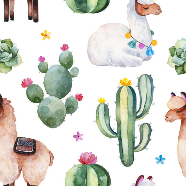 ilustraciones, imágenes clip art, dibujos animados e iconos de stock de patrón sin costuras con cactus de acuarela verde, suculentas, flores multicolor y llamas lindas - cactus spine