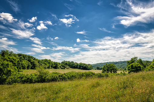 wispy white clouds set against a deep blue morning sky over a field of green and gold in the foot hills of the blue ridge mountains in Virginia.