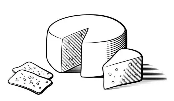 Vector illustration of Stylized black and white vector illustration of cheese