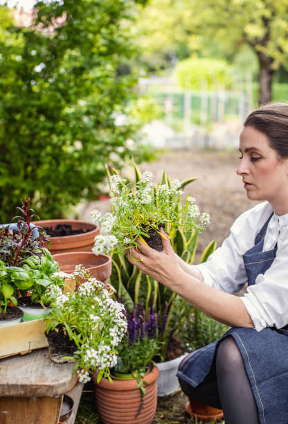 istock Woman Planting Flowers 1153092373