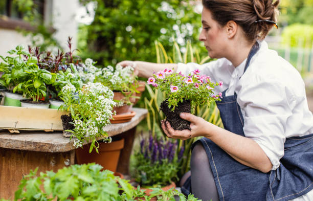 istock Woman Planting Flowers 1153092462