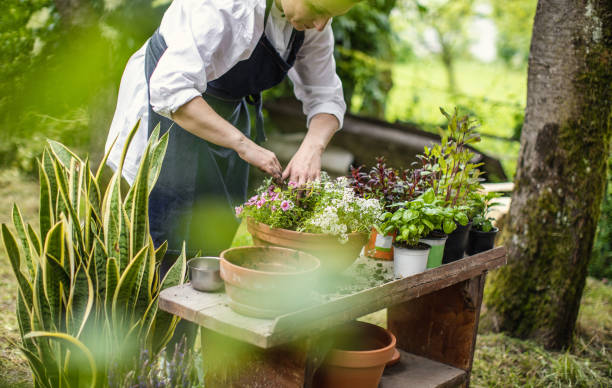 istock Woman Planting Flowers 1153092494