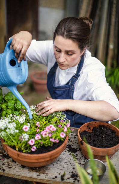 istock Woman Watering Flowers 1153092594