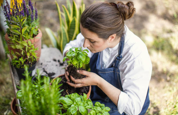Woman Planting Herbs