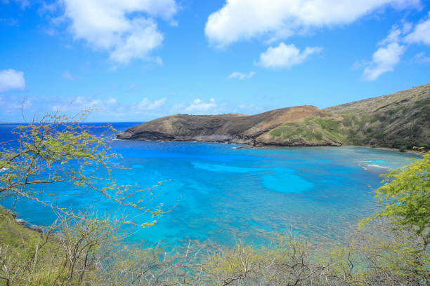 istock Hanauma Bay Beach Blue Sky Blue Sea 1153094288