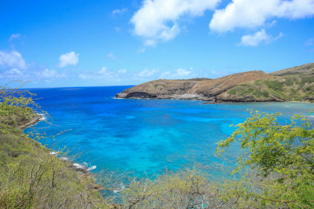 istock Hanauma Bay Beach Blue Sky Blue Sea 1153094349