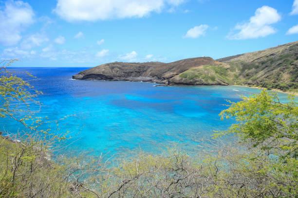 istock Hanauma Bay Beach Blue Sky Blue Sea 1153094378