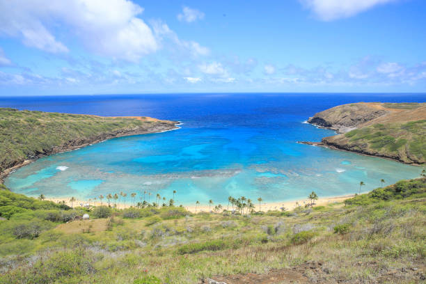 istock Hanauma Bay Beach Blue Sky Blue Sea 1153094400