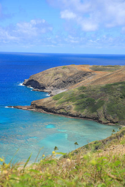 istock Hanauma Bay Beach Blue Sky Blue Sea 1153094414