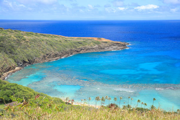istock Hanauma Bay Beach Blue Sky Blue Sea 1153094436