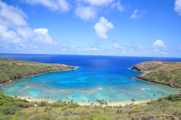 istock Hanauma Bay Beach Blue Sky Blue Sea 1153094468
