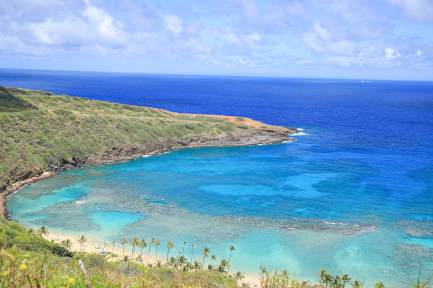 istock Hanauma Bay Beach Blue Sky Blue Sea 1153094487