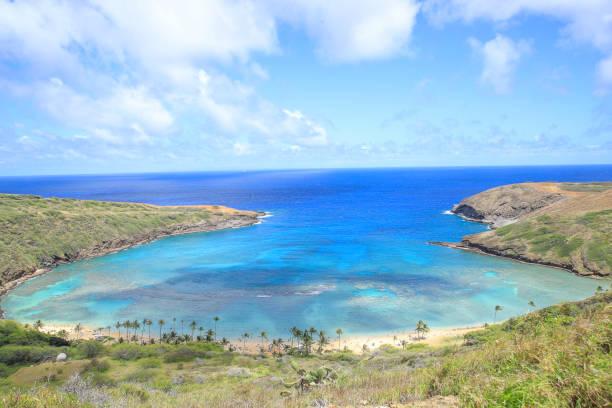 istock Hanauma Bay Beach Blue Sky Blue Sea 1153094501