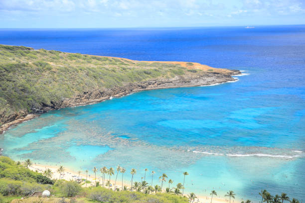 istock Hanauma Bay Beach Blue Sky Blue Sea 1153094507