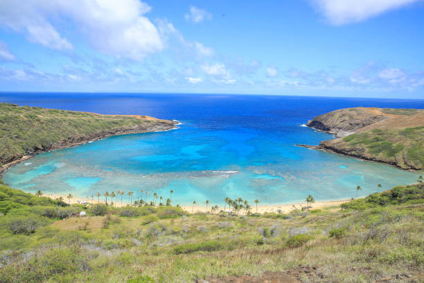 istock Hanauma Bay Beach Blue Sky Blue Sea 1153094533