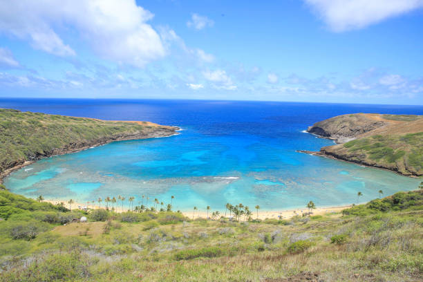istock Hanauma Bay Beach Blue Sky Blue Sea 1153094565