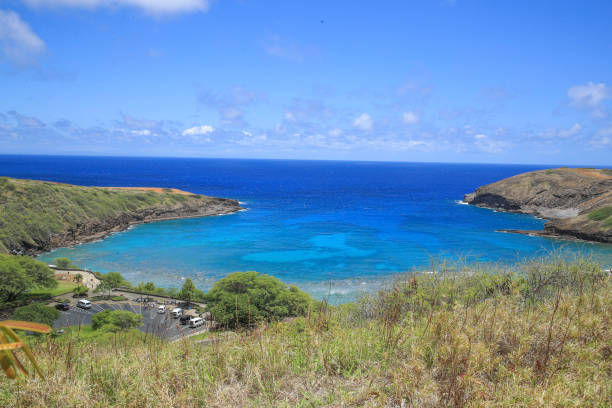 istock Hanauma Bay Beach Blue Sky Blue Sea 1153094582