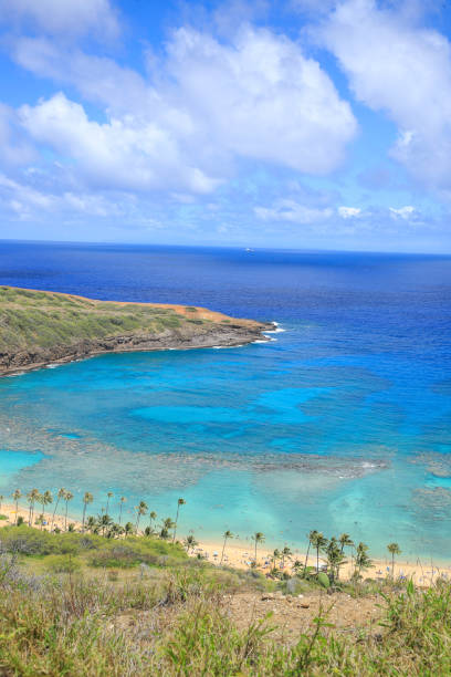 istock Hanauma Bay Beach Blue Sky Blue Sea 1153094596